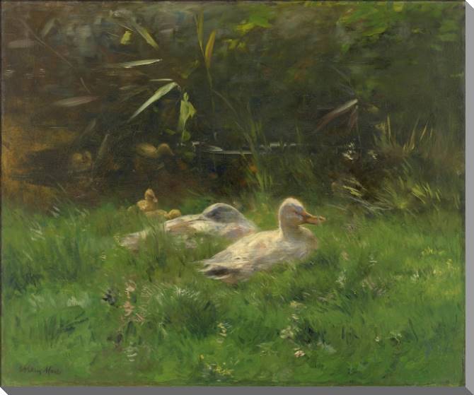 Купить и печать на заказ Картины на пластике, пеноркартоне Утки 