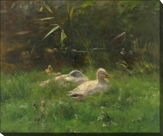 Paintings on canvas Ducks (Willem Maris)