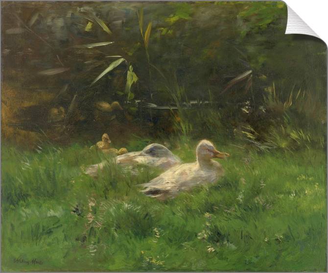 Купить и печать на заказ Картины на холсте Утки 