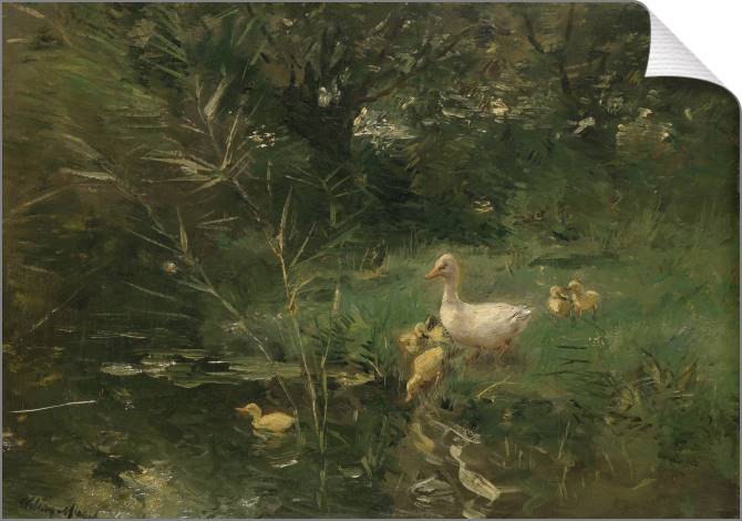 Купить и печать на заказ Картины на холсте Утята