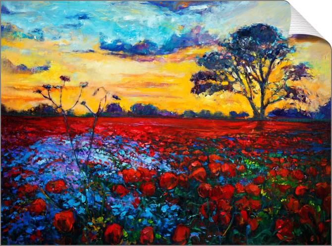 Картины на холсте Field of poppies at sunset