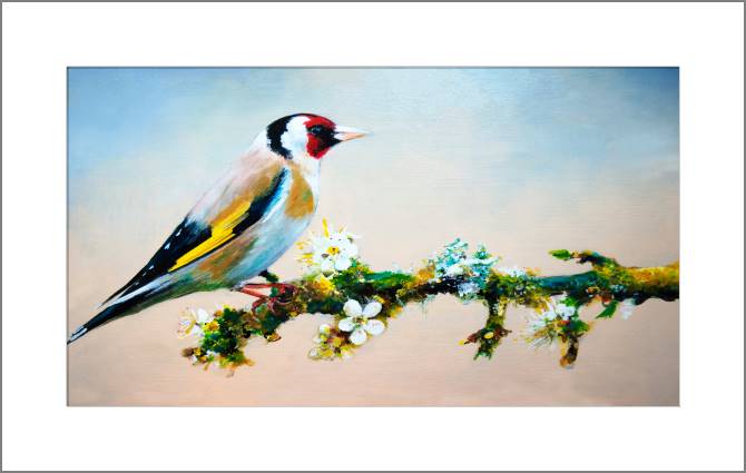 Paintings, photos from Passepartout Bird on a branch of Sakura