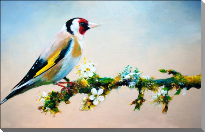 Купить и печать на заказ Картины на пластике, пеноркартоне Птица на ветке сакуры