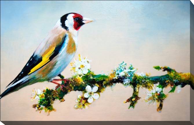 Paintings on canvas Bird on a branch of Sakura