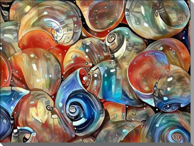 Купить и печать на заказ Картины на пластике, пеноркартоне Раковины улиток