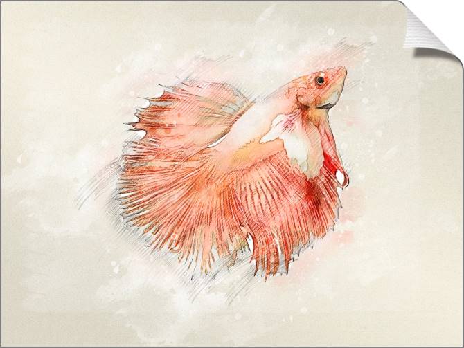 Купить и печать на заказ Картины на холсте Бойцовая рыбка
