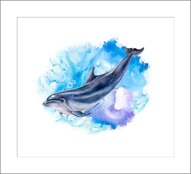 Paintings, photos from Passepartout Watercolor Dolphin