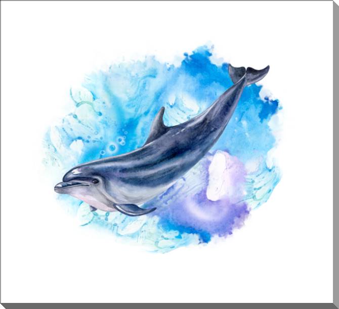 Купить и печать на заказ Картины на пластике, пеноркартоне Акварельный дельфин