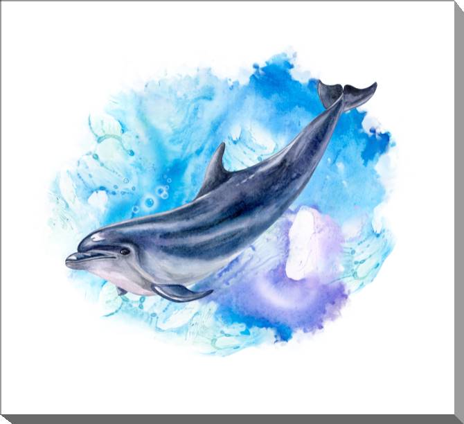 Картины на холсте Watercolor Dolphin