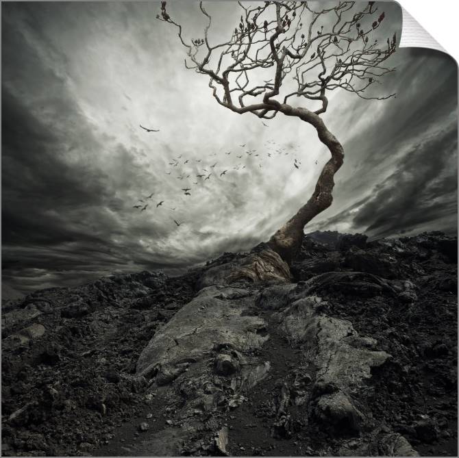 Купить и печать на заказ Картины на холсте Одинокое дерево