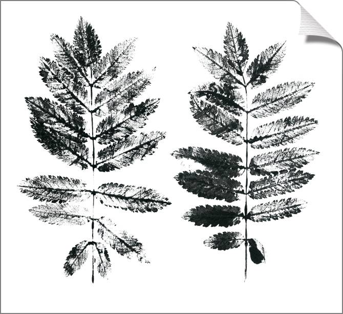 Купить и печать на заказ Картины на холсте Отпечатки листьев на белом фоне
