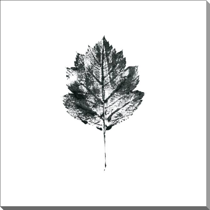 Купить и печать на заказ Картины на пластике, пеноркартоне Отпечаток листа