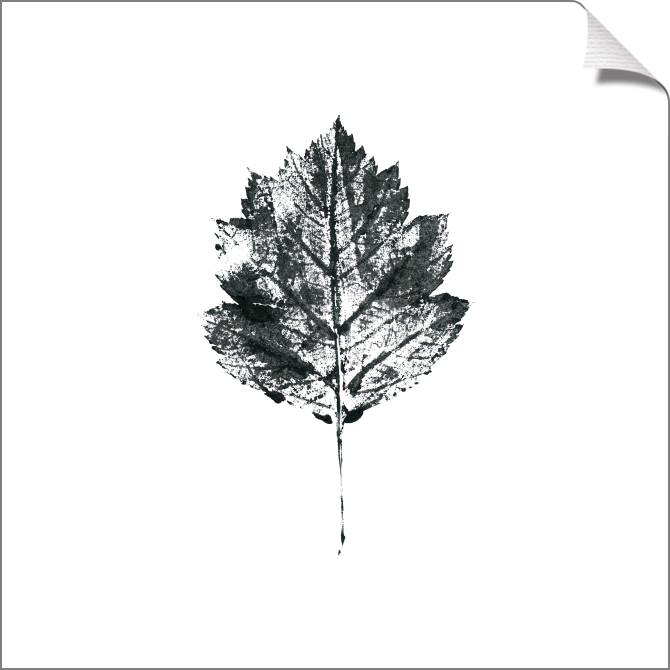 Купить и печать на заказ Картины на холсте Отпечаток листа