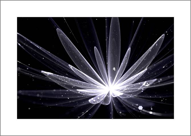 Paintings, photos from Passepartout Shining flower