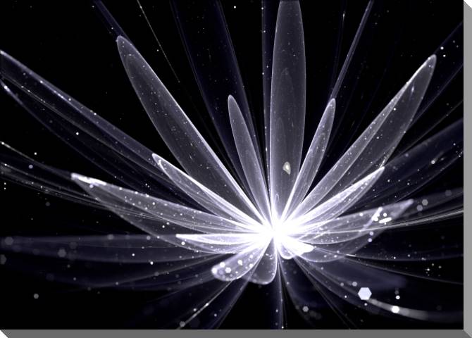 Купить и печать на заказ Картины на пластике, пеноркартоне Сияющий цветок