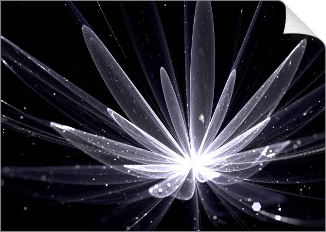 Купить и печать на заказ Картины на холсте Сияющий цветок