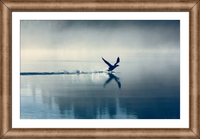 Paintings on canvas A bird over water on a misty morning