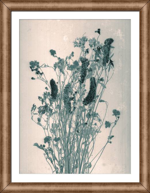 Картины в рамке, багете Vintage photography flowers