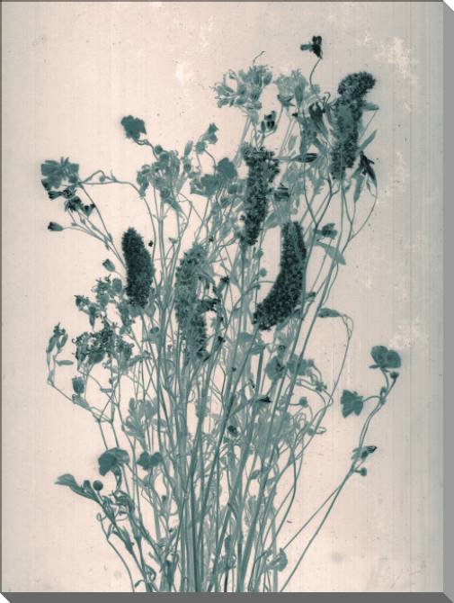 Купить и печать на заказ Картины на пластике, пеноркартоне Винтажная фотография цветов