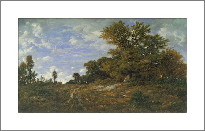 Купить и печать на заказ Картины, фото с паспарту Опушка леса в Мон-Жирар