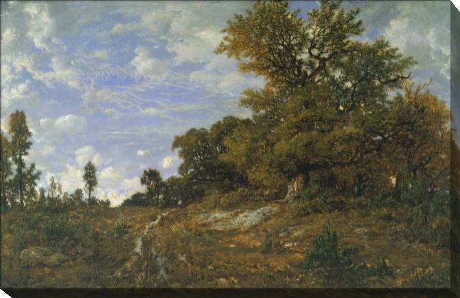 Paintings on canvas The edge of the forest in Mont-Girard (théodore Rousseau)