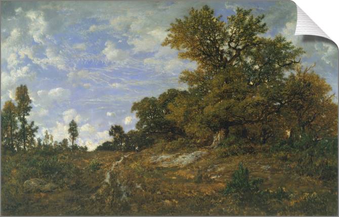 Купить и печать на заказ Картины на холсте Опушка леса в Мон-Жирар