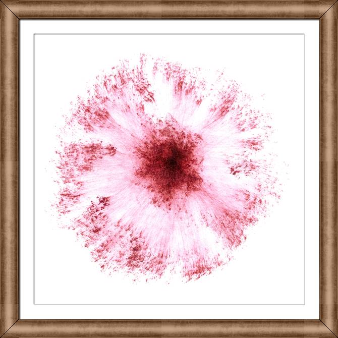 Paintings on canvas Abstraction flower