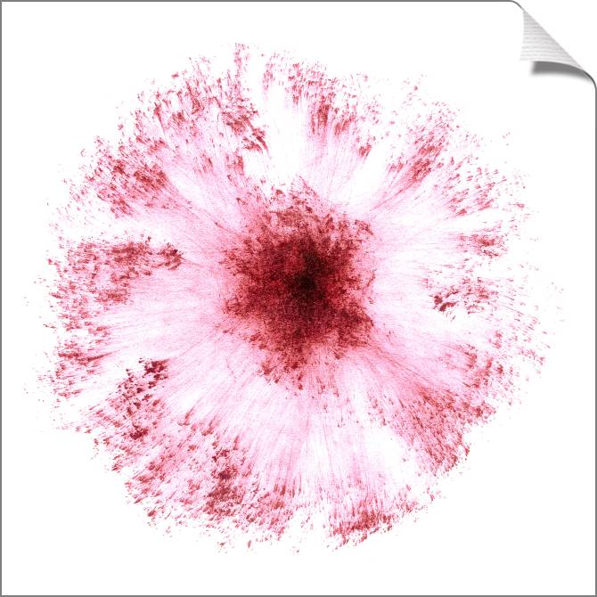 Купить и печать на заказ Картины на холсте Абстракция-цветок