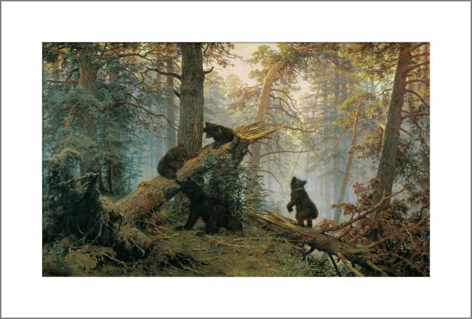 Купить и печать на заказ Картины, фото с паспарту Утро в сосновом лесу