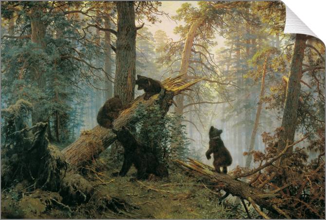 Купить и печать на заказ Картины на холсте Утро в сосновом лесу