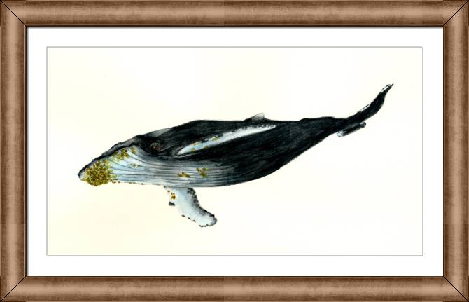Купить и печать на заказ Репродукции картин Горбатый кит