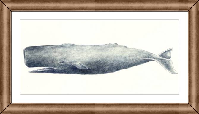 Paintings on canvas The figure of the sperm whale