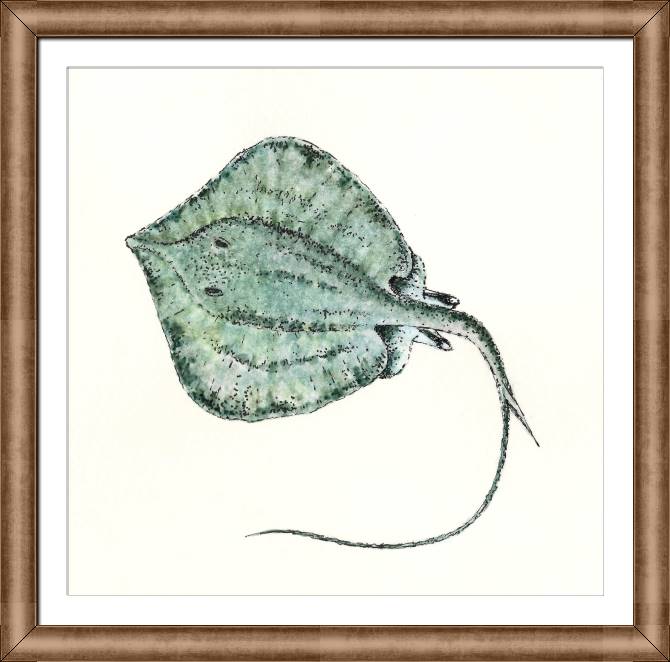 Картины в рамке, багете Figure Stingray