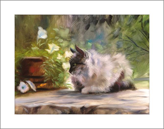 Купить и печать на заказ Картины, фото с паспарту Кошка на крыльце