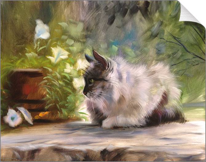 Купить и печать на заказ Картины на холсте Кошка на крыльце