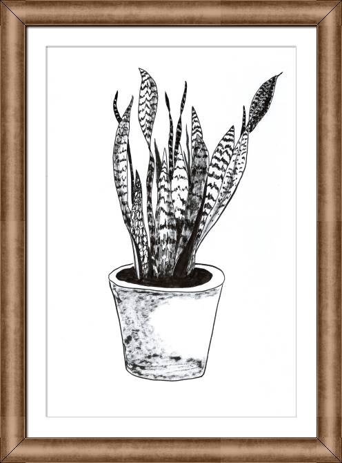Paintings on canvas Sansevieria trifasciata plant cartoon style