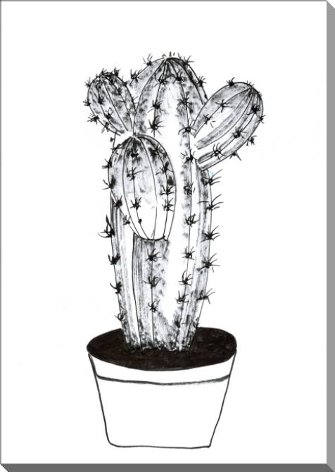 Купить и печать на заказ Картины на пластике, пеноркартоне Кактус рисованный стиль