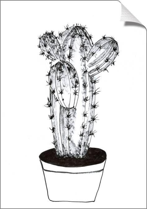 Купить и печать на заказ Картины на холсте Кактус рисованный стиль