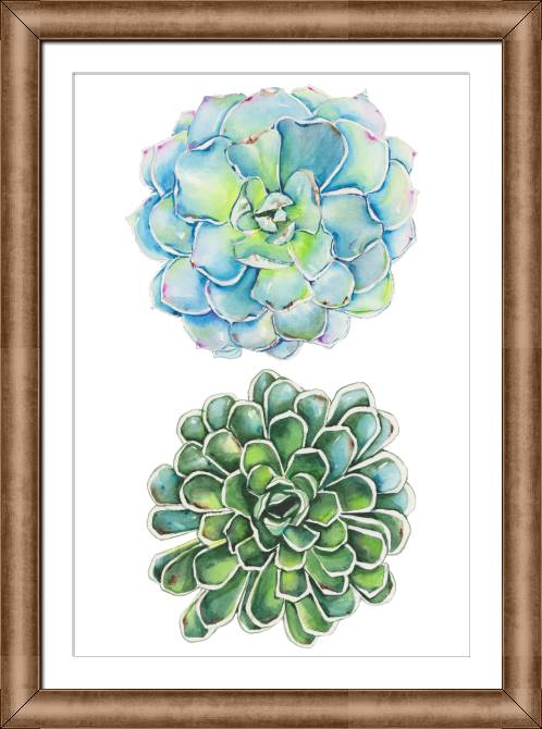 Paintings on canvas Succulents on white background