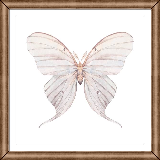 Картины в рамке, багете Delicate butterfly pattern
