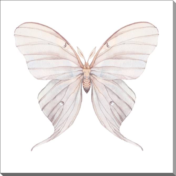 Купить и печать на заказ Картины на пластике, пеноркартоне Нежный рисунок бабочки