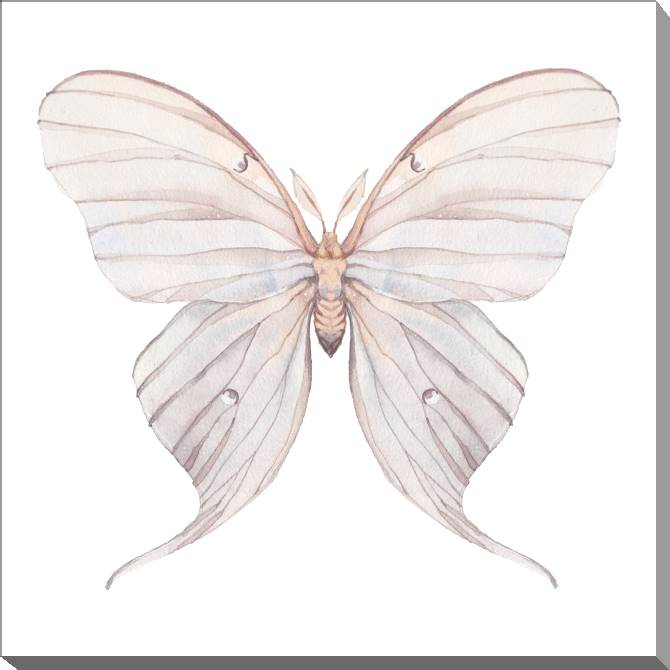 Купить и печать на заказ Картины на холсте Нежный рисунок бабочки