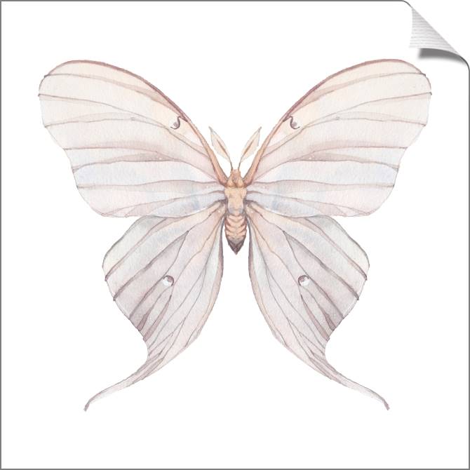 Купить и печать на заказ Картины на холсте Нежный рисунок бабочки