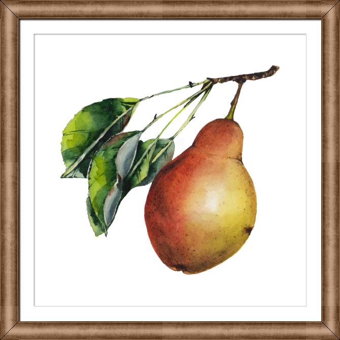 Paintings on canvas Juicy watercolor pear