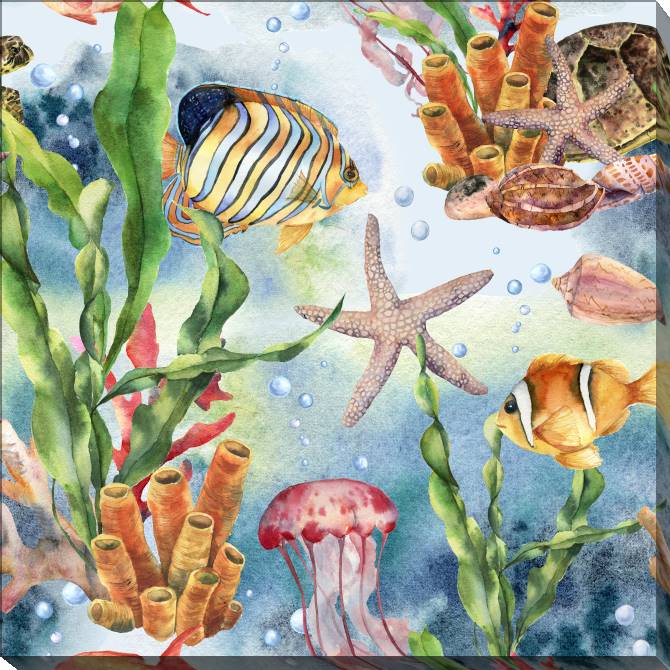 Картины на холсте Colorful underwater world