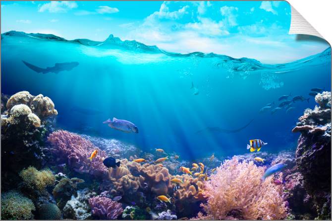 Купить и печать на заказ Картины на холсте Разнообразие подводного мира