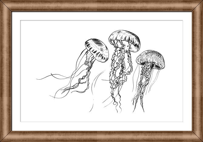 Paintings on canvas Graphic jellyfish
