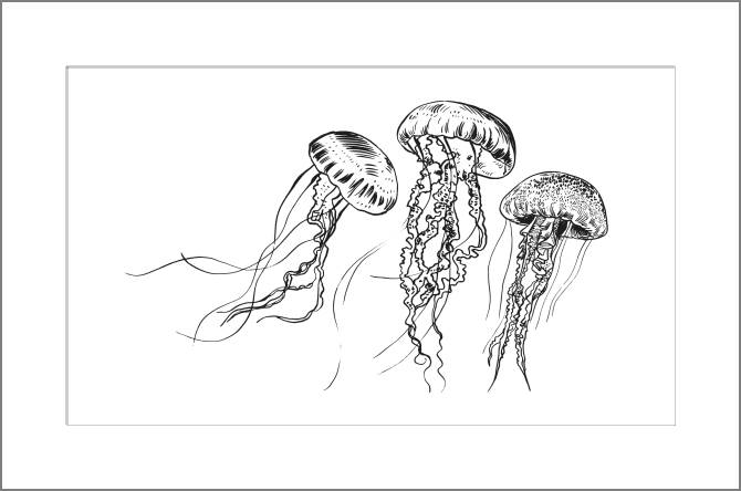 Купить и печать на заказ Картины, фото с паспарту Графичные медузы