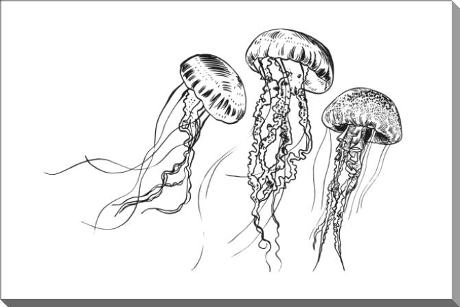 Купить и печать на заказ Картины на пластике, пеноркартоне Графичные медузы
