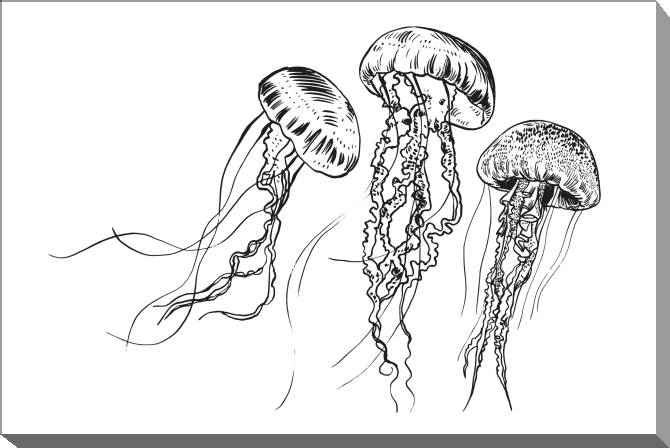 Картины на холсте Graphic jellyfish